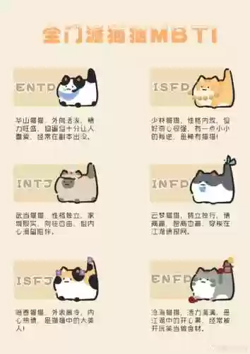 猫咪vn阵容插图