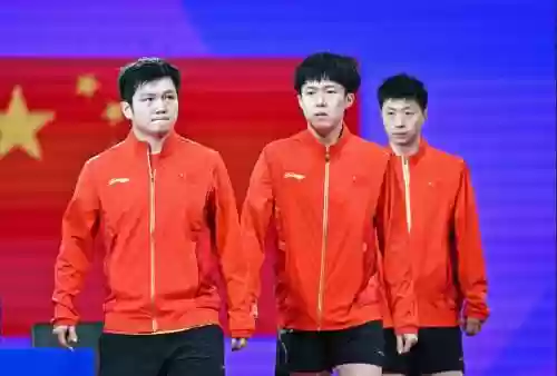 男乒阵容插图1