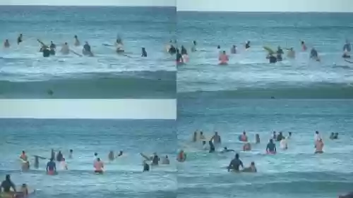 冲浪恶心阵容插图