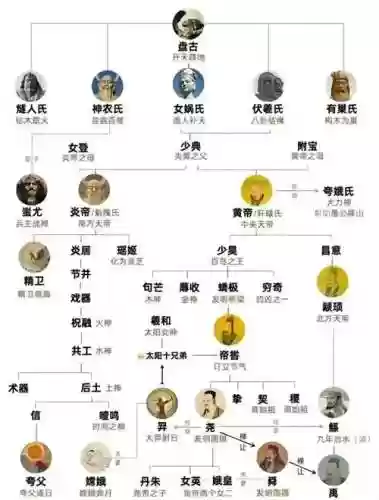 神仙阵容全程