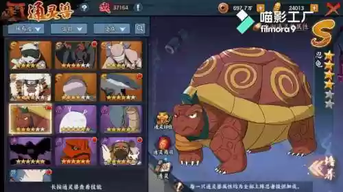 灵龟阵容插图1