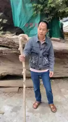 老拐棍阵容_1