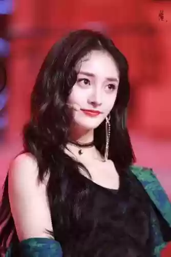 周洁琼阵容插图