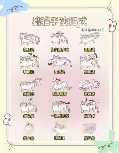 猫千杯清爽攻略插图1