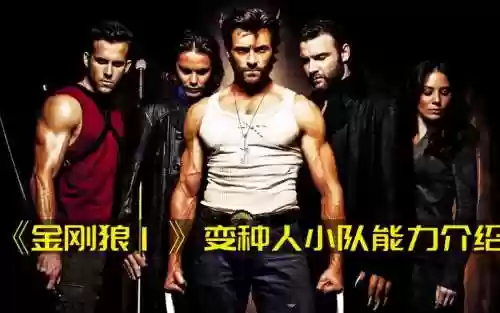 金刚狼阵容搭配插图