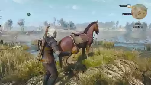 thewitcher3攻略插图