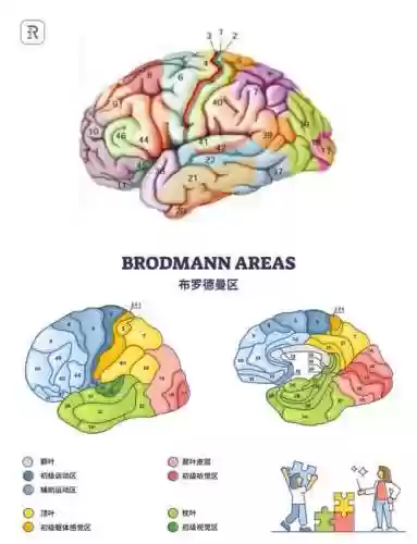 brainit32攻略插图1