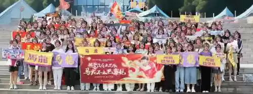 粉丝强大阵容插图