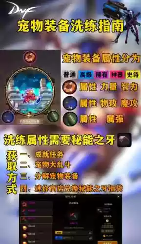 宠物装备爆插图