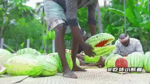 西瓜奇葩阵容插图