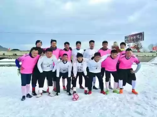 清雪阵容