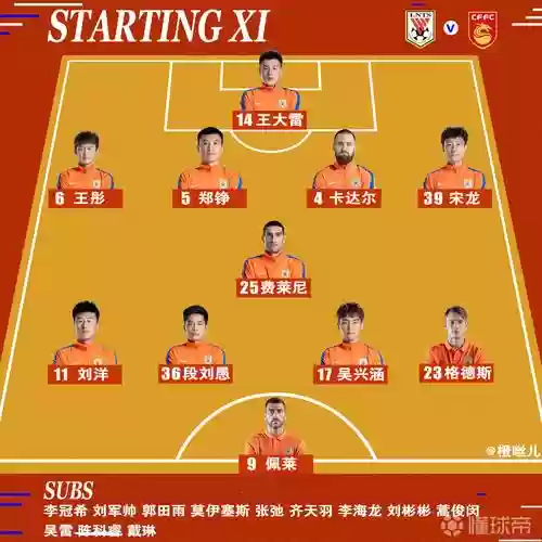 鲁能河北阵容插图