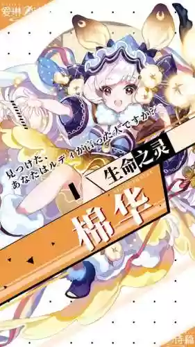 棉华阵容搭配