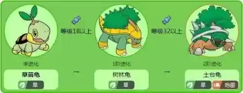 草苗龟进化技能插图