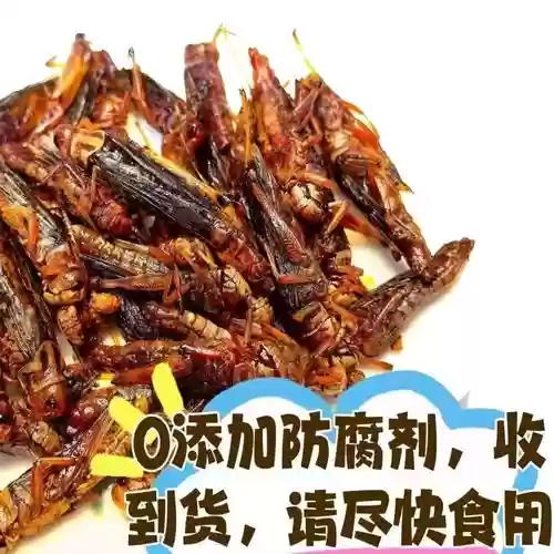 S8蚂蚱怎么放技能插图1