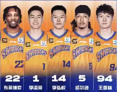 突破鲨鱼阵容插图