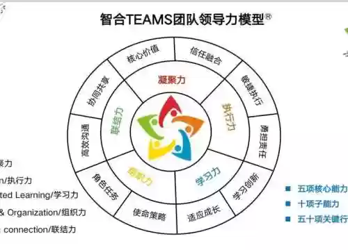 团队阵容Basic插图1