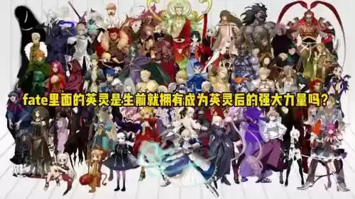 fatec闪阵容搭配_1插图