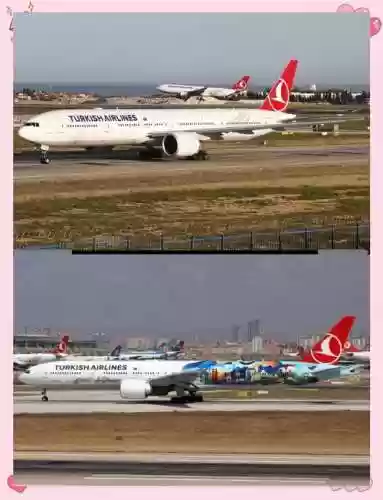 土耳其航空阵容插图1