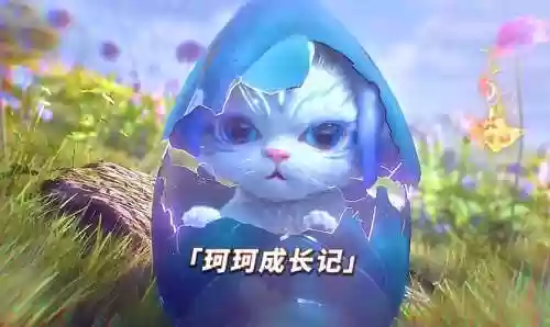 珂珂阵容插图