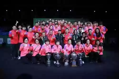 世乒赛2019阵容插图1