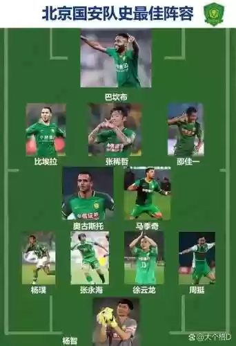 国安阵容张效瑞_1插图1