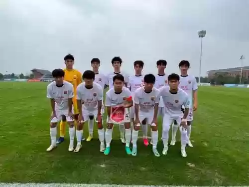 杨柏阵容插图1