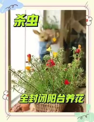 杀虫攻略