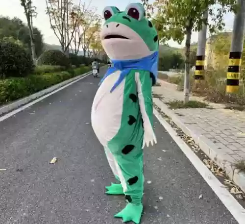 青蛙外出装备插图