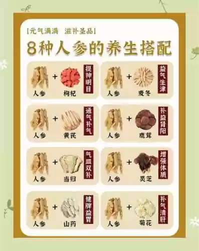 人参阵容搭配插图