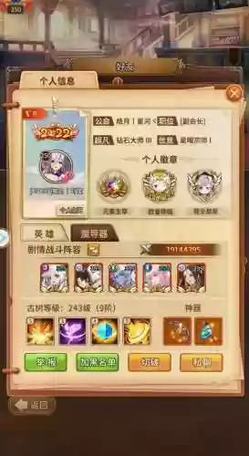 闪烁之光物理阵容搭配