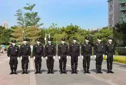 保安小队阵容插图1
