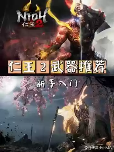 仁王好看的武器插图1