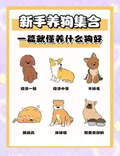猎犬阵容搭配攻略插图1