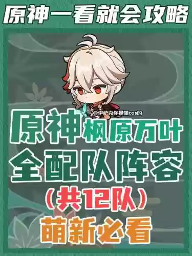 枫阵容搭配推荐插图