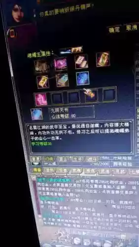 九阴不吃装备的_1插图