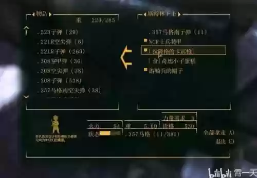 新维加斯代码武器插图