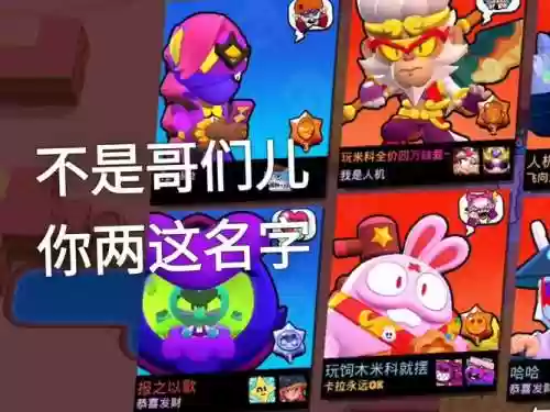 荒野乱斗双射手搭配阵容插图
