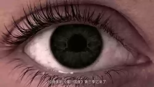 僵尸国度攻略插图