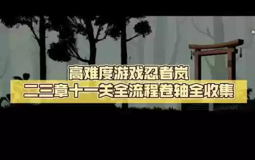 忍者岚十一关攻略插图