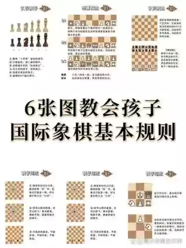 儿童国际象棋攻略插图1