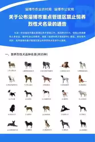 猎犬阵容搭配攻略插图