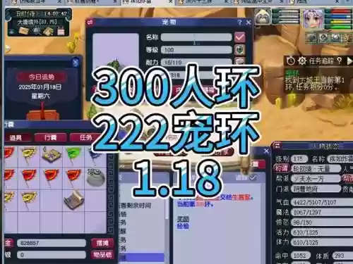 梦幻西游宠环多少级适合跑插图1
