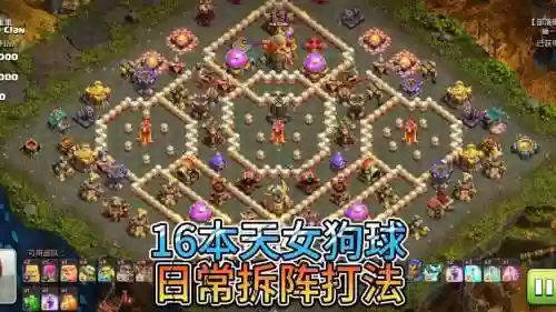 部落狗狗阵容搭配插图1