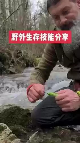 强悍的野外生存技能插图