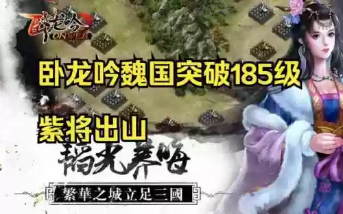卧龙吟魏国冲级攻略2015插图