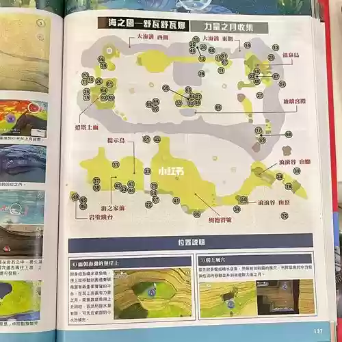 马里奥奥德赛树海攻略插图