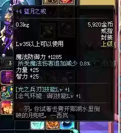 有加光之兵刃的装备吗插图