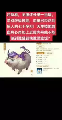 当康一般练什么技能_1插图1
