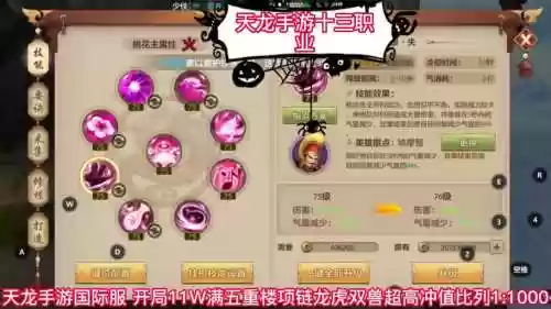 天龙手游神猿宝宝技能插图